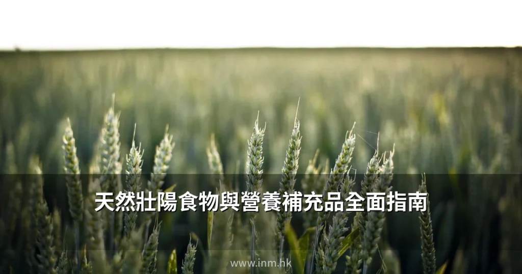 天然壯陽食物與營養補充品全面指南:生蠔、瑪卡、鋅及人參的科學實證分析 4 inm cover 2