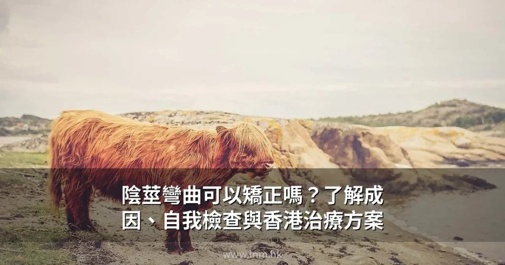 陰莖彎曲可以矯正嗎?了解成因、自我檢查與香港治療方案 8 inm hk cover 1