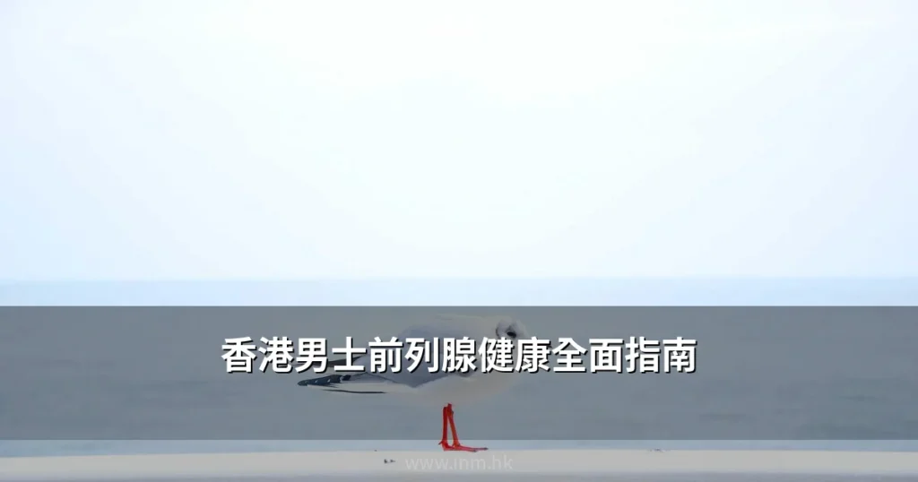 香港男士前列腺健康全面指南:前列腺肥大症狀、檢查方法與日常保養建議 5 inm cover 6