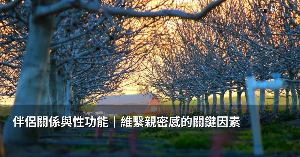 伴侶關係與性功能|維繫親密感的關鍵因素與改善方法 5 inm partner sex 0610