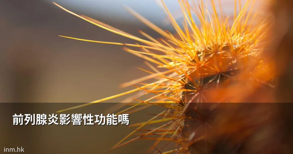 前列腺炎影響性功能嗎?一文拆解症狀、成因與改善方法 2 inm prostatitis 0612